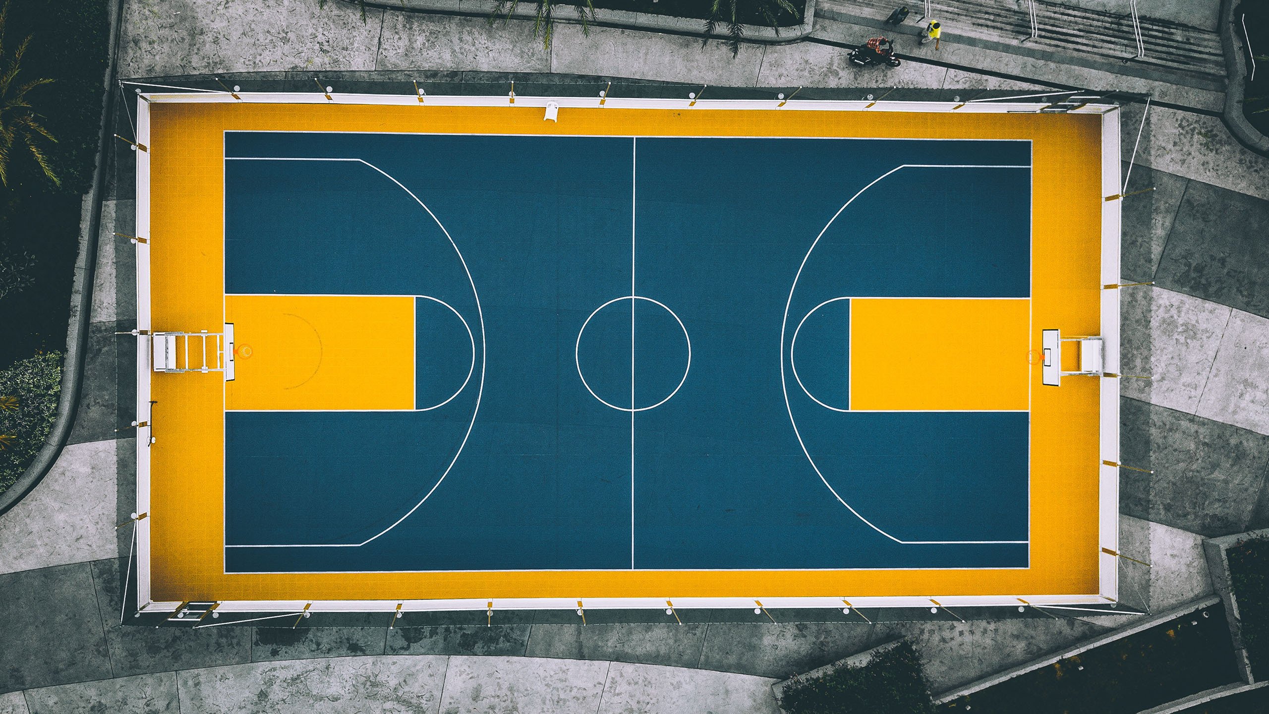 中长距离泳姿节奏稳定，耐力见长，适合长距离的泳姿